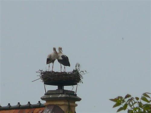 2011-05-03-10-52-00-Klein