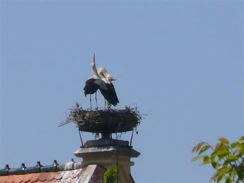 2011-05-04-11-09-58-Klein