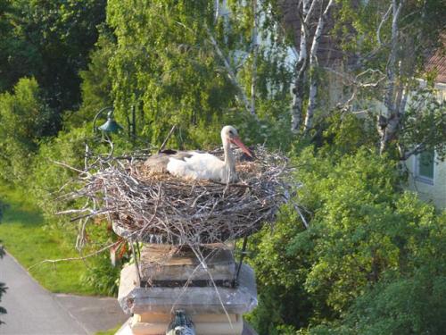 2011-05-31-18-53-08-Klein