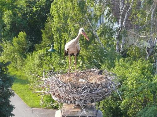 2011-05-31-18-53-56-Klein