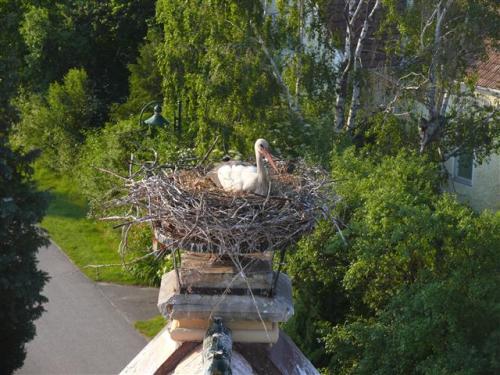 2011-05-31-18-55-46-Klein